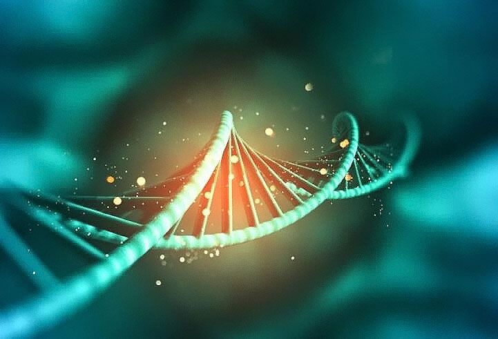 DNA亲子鉴定的实验过程