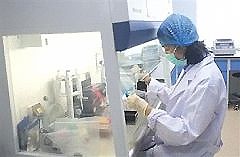 采集血痕样本做亲子鉴定需要多少钱