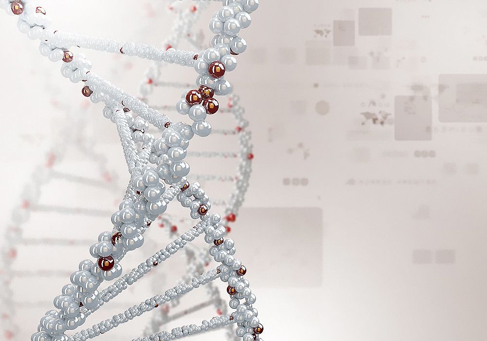 DNA亲子鉴定需要的材料有哪些?
