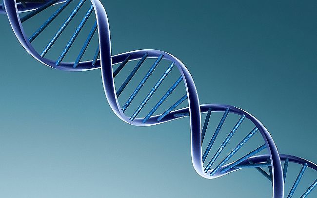 无创DNA亲子鉴定可以加急吗