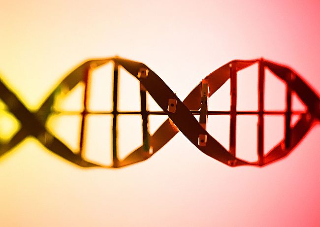 只用指甲可以验DNA吗?