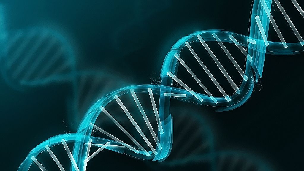 孕期DNA 亲子鉴定准吗?