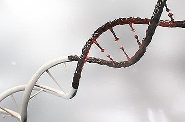 血型可以判断孩子是否亲生吗?