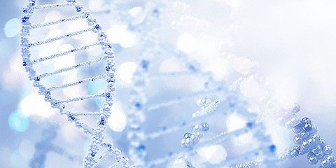 怀孕DNA 检测亲生关系要多少钱?