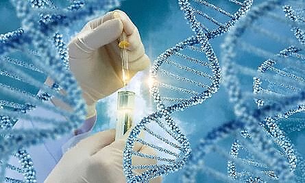 海西蒙古族藏族检测DNA 需要多少费用?