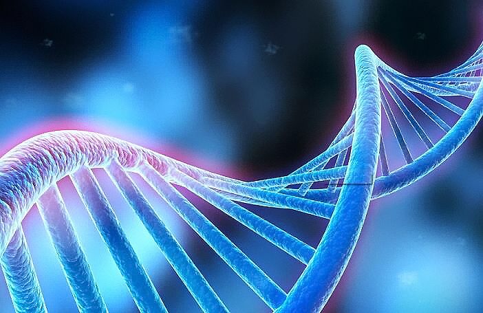 长春DNA鉴定大概需要多少钱?