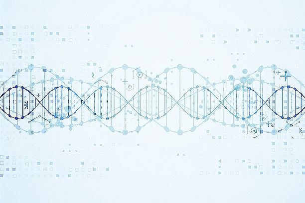 商洛哪里可以做上学亲子鉴定