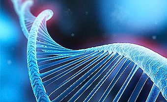 人民医院可以做DNA检测吗?