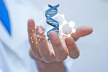 无创DNA产前检测的适用人群到底有哪些呢