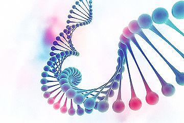 胚胎可以鉴定DNA亲子关系吗?