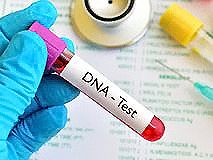 固原各种DNA亲子鉴定所需材料