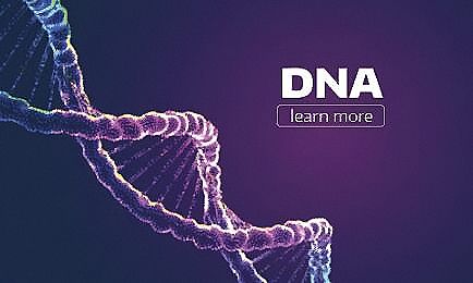多大的胎儿可以做DNA 鉴定?