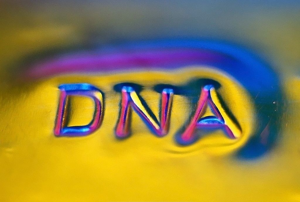 常州DNA亲子鉴定要多少钱?