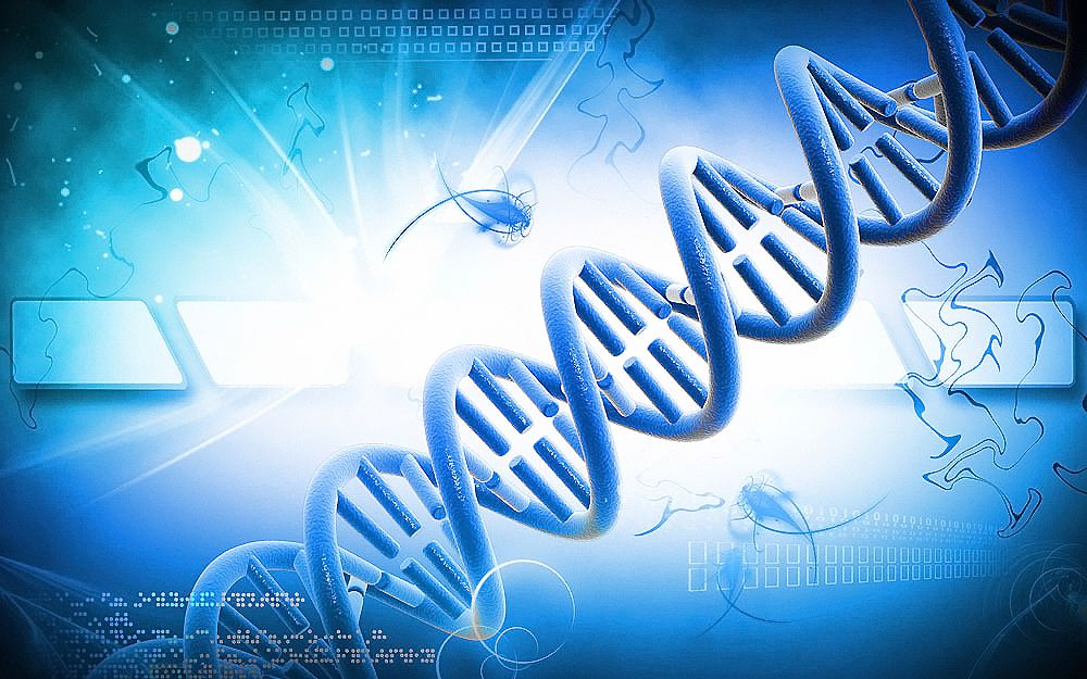DNA亲子鉴定需要提供什么