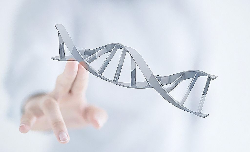 DNA亲子鉴定是鉴定什么?收费多少?