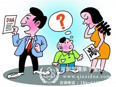 2019年做亲子鉴定需要多少钱