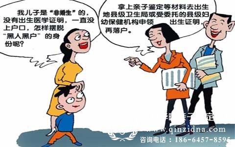 上户口亲子鉴定漫画图