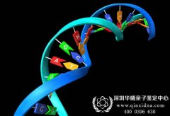 做司法亲子鉴定一般需要提供哪些材料