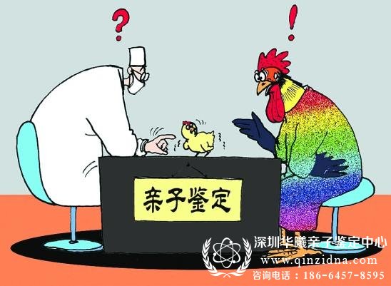 怀孕流产后能验DNA吗