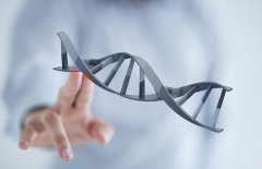 DNA亲子鉴定采取哪几种方式