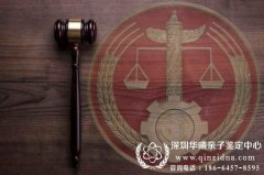 什么是亲子鉴定,亲子鉴定需要什么手续