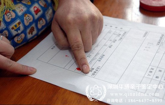 亲子鉴定协议书