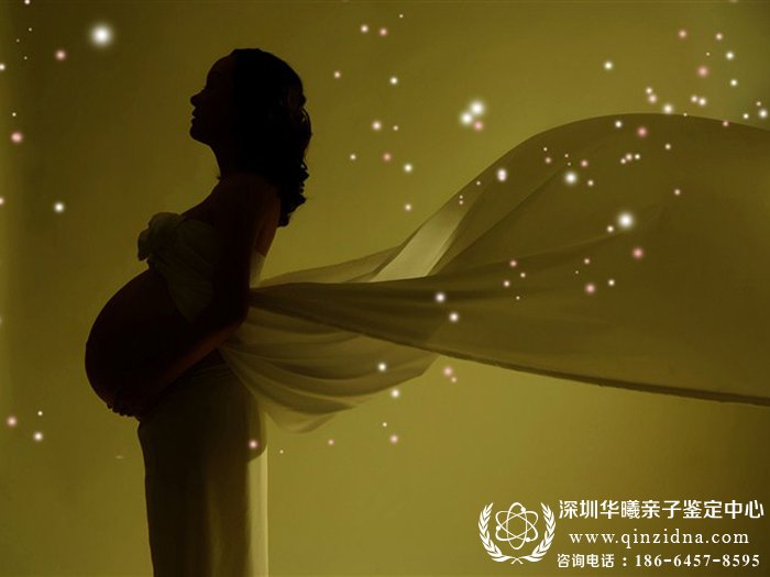 孕妇<a data-cke-saved-href=http://www.qinzidna.com/qinzijianding/201479.html href=http://www.qinzidna.com/qinzijianding/201479.html target=_blank ><a href=http://www.qinzidna.com/qinzijianding/201479.html target=_blank >产前亲子鉴定</a></a>图
