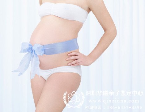 孕妇胎儿亲子鉴定图
