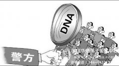 做一个最简单的DNA鉴定需要多少钱