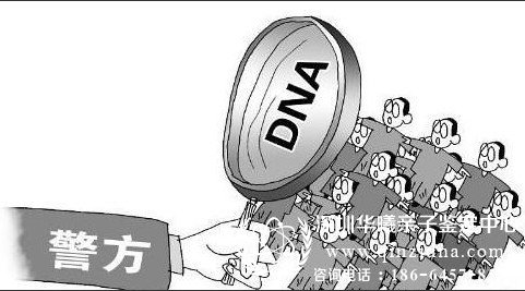 验DNA漫画图
