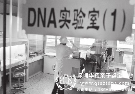 <a data-cke-saved-href=http://www.qinzidna.com/ href=http://www.qinzidna.com/ target=_blank ><b>亲子鉴定机构</b></a>实验室