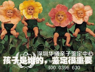 小孩子亲子鉴定