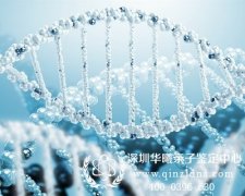 深圳怎么做亲子鉴定,哪里能做亲子鉴定