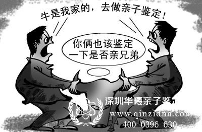 DNA亲子鉴定漫画图