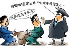 深圳无创DNA亲子鉴定需要多少钱,怎么做
