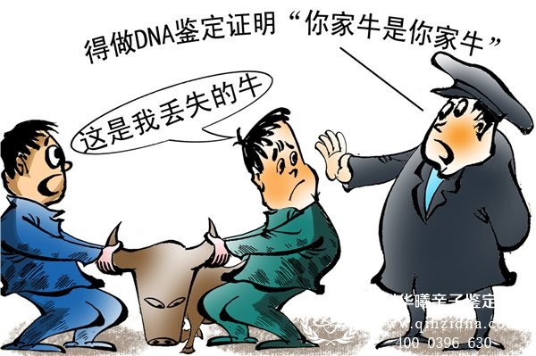 <a data-cke-saved-href=http://www.qinzidna.com/ href=http://www.qinzidna.com/ target=_blank >DNA亲子鉴定</a>有趣漫画