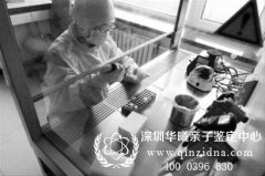 深圳如何做亲子鉴定,亲子鉴定全过程是怎样的