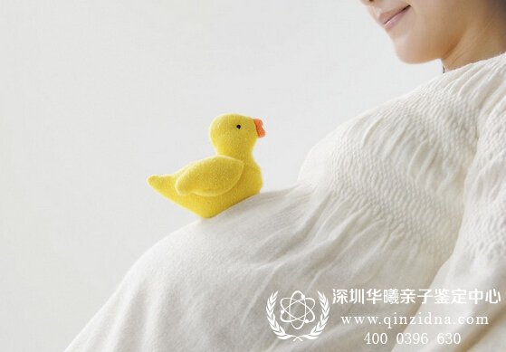 胎儿亲子鉴定图