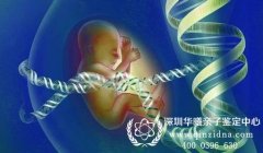 深圳羊水亲子鉴定怎么做,有什么注意事项