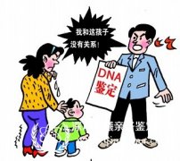 深圳怎么做亲子鉴定,它的流程是怎样的