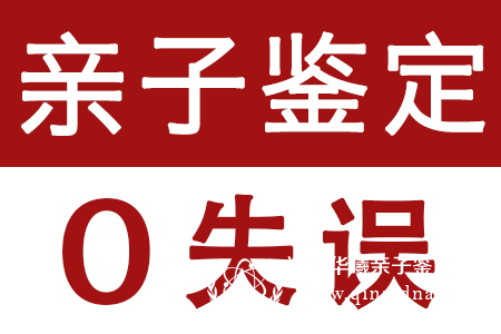 亲子鉴定广告图