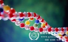 深圳亲子鉴定机构比较出名的是那家