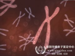 深圳哪里做亲子鉴定比较好，妇科医院可以做吗