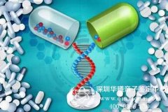 深圳市在哪里可以做亲子鉴定，鉴定的费用是多少
