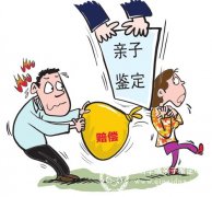 深圳法医做亲子鉴定标准的收费是多少