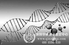 深圳亲子DNA鉴定如何做