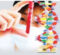 做DNA亲子鉴定两人还是三人好、准确吗