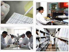 司法亲子鉴定一般是做什么的,需要什么资料