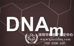 影响亲子鉴定的因素有那些，进行DNA测试的手续是什么