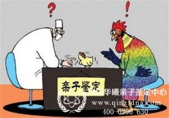 亲子鉴定需要提供哪些材料，多少钱多久出结果